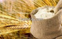 Wheat flour , top grade, hi...