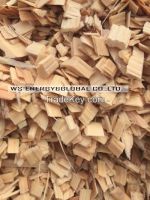 Wood Chip for pulp / paper and fuel / power plant