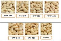 Cashew Nuts Available For Sale And Export