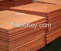  Electrolytic Copper Cathode 