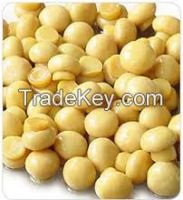 https://www.tradekey.com/product_view/Look-Fresh-Mushroom-Become-Delicious-Canned-Whole-Mushroom-Contact-Us-By-7812099.html