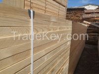 Pinus Silvestris (pine) for export