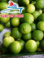 Vietnam Fresh Lime Seedless (+84342828779)