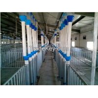 Swine farm automatic feeding systems 13