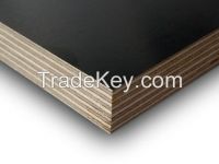 marine plex Plywood