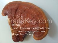 Ganoderma Lucidum/Polyporum lucidus (Ganodermataceae)