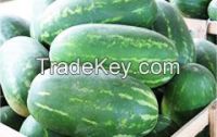 TORPILA Water Melons