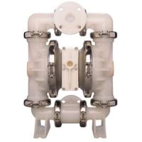 Wilden Diaphragm Pump