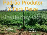 Ferti-Peixe - Liquid Organic Fish Hidrolized Fertilizer