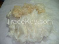 ALPACA WOOL