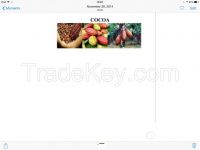 Cocoa Beans