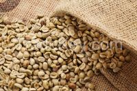 robusta coffee beans from Ecuador