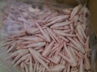 Processed Grade A Frozen Chicken Feet and Paws