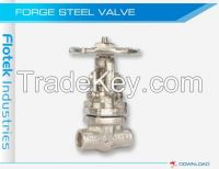 Forge Steel Valve