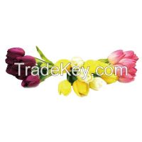 Tulip Bouquet Flower Pen