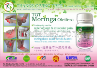 ThanksGivingTree-Moringa Oleifera