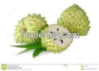 Soursop fruit and Leaves