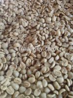 Arabica Coffee Supplier 100% Organic