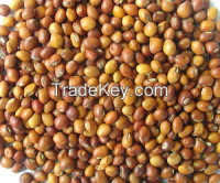 Pigeon peas