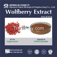 Manufacture Wolfberry Extract goji berry extract