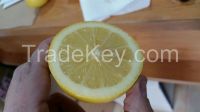 Fresh lemon 