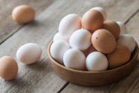 Best Quality Organic Fresh Chicken Table Eggs available