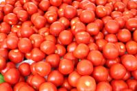 Tomatoes