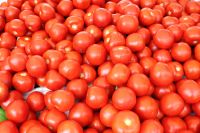 Tomatoes Fresh