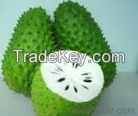 FROZEN SOURSOP 