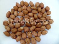 Peanuts Runner, split, Natural and Blanched