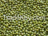 https://jp.tradekey.com/product_view/Green-Mung-Beans-7820835.html