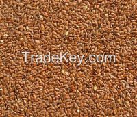 Flax seeds