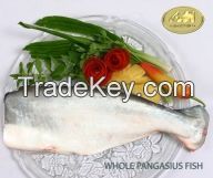 Frozen Pangasius Whole Fish