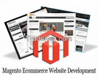 Website Development