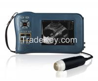 BCV60-sPortable veterinary ultrasound