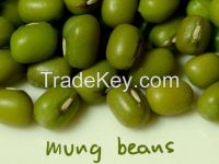 Mung beans
