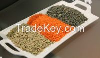 Red and green lentils