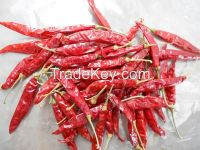 Dry red chilli