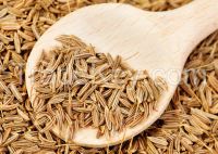 Cumin seeds