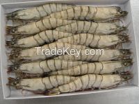 FROZEN BLACK TIGER PRAWNS