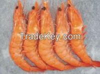 frozen prawns