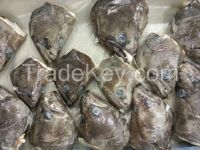 GREENLAND HALIBUT HEADS