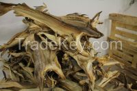 DRIED STOCK FISH