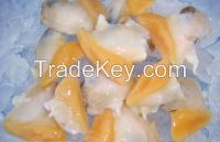 YELLOW CLAM