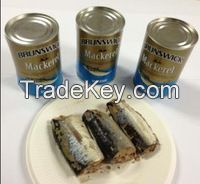 CANNED MACKEREL IN BRINE