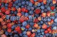 FRESH BERRIES