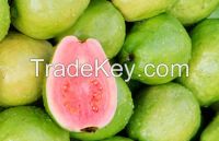 FRESH GUAVAS