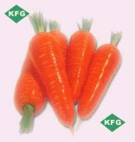 https://ar.tradekey.com/product_view/Carrots-279001.html