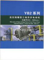 YB2 Series of High-Voltage Flame-Proof Three-Phase Induction Motors