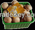 https://www.tradekey.com/product_view/Brown-Buttons-Mushrooms-7916457.html